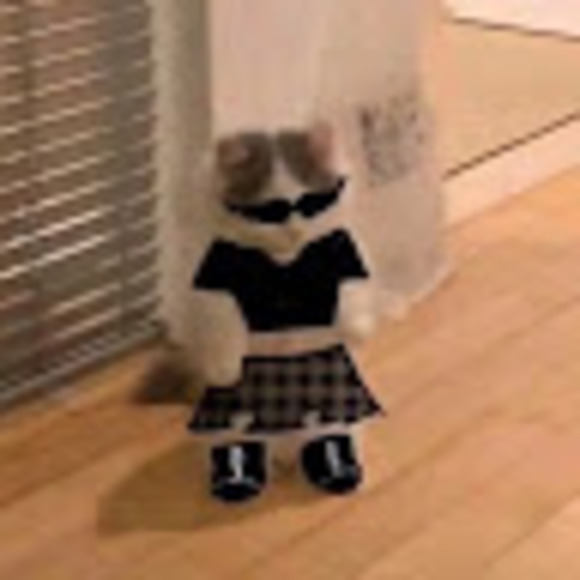 Meet your Posher, Makena - Picture 1 of 1